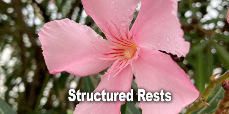 structured-rests-for-healing-cfs-me-chronic-conditions