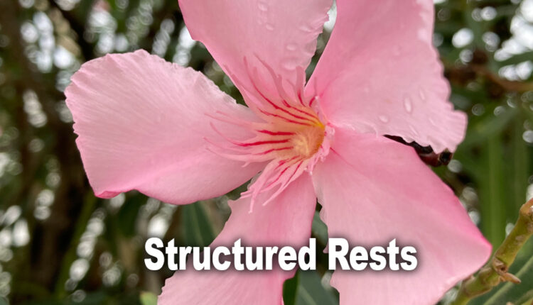 structured-rests-for-healing-cfs-me-chronic-conditions