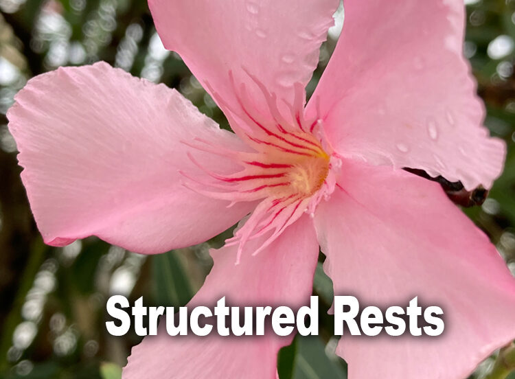 structured-rests-for-healing-cfs-me-chronic-conditions