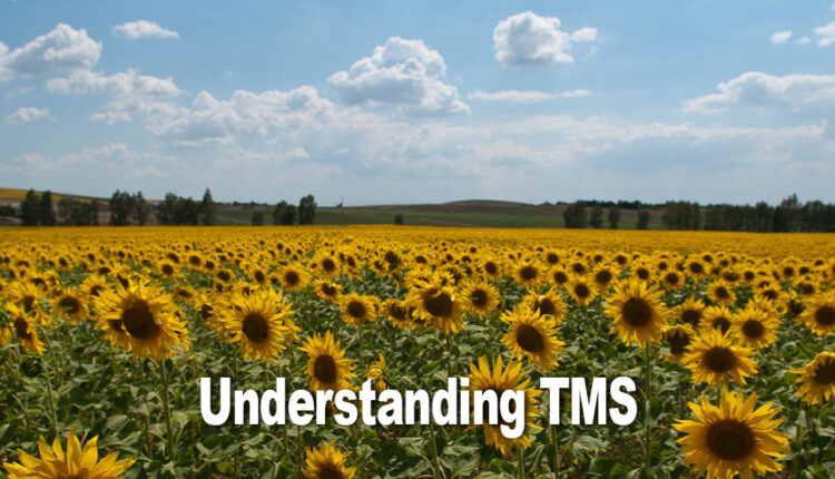 understanding-TMS-post-sunflowers