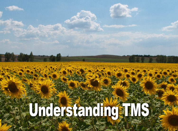 understanding-TMS-post-sunflowers